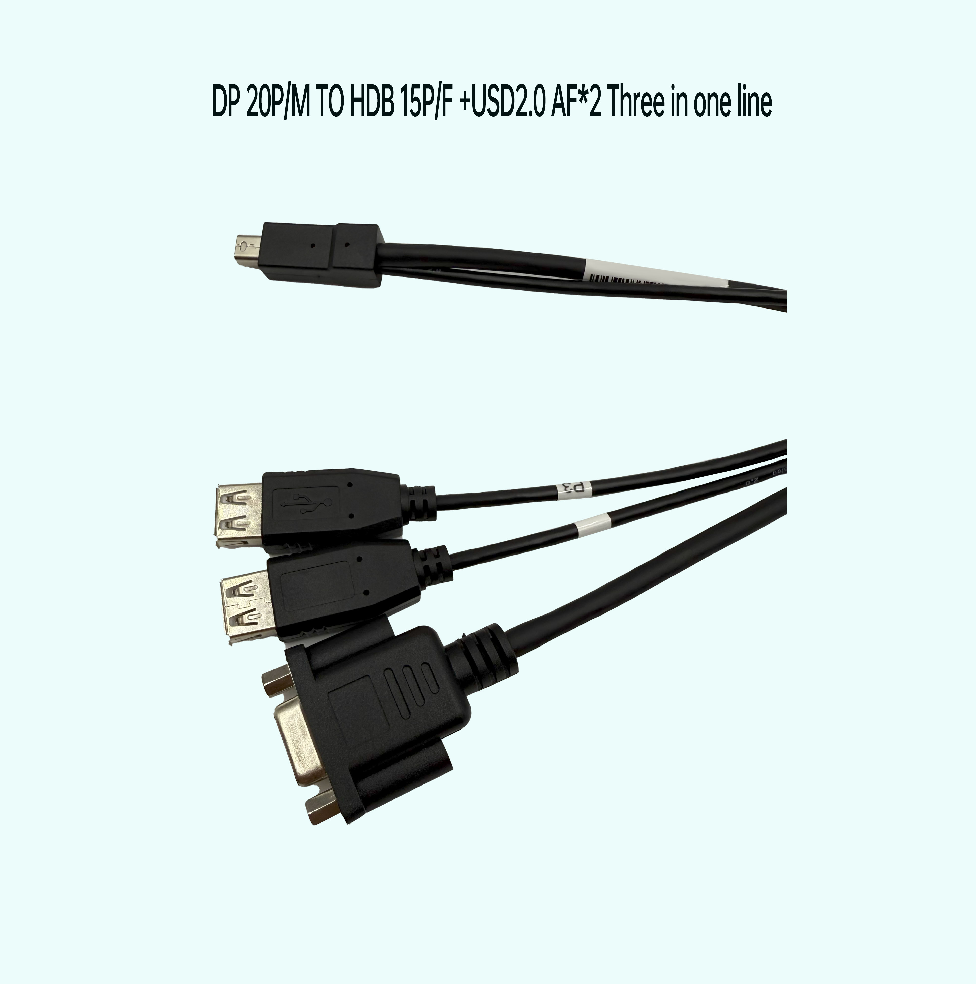 DP 20P公 對 HDB 15P母+USD2.0 A公 三合一